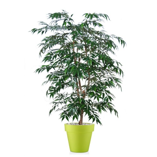 Planta semi-artificiala Ila, Myrsifolia Natural Style Green - 150 cm